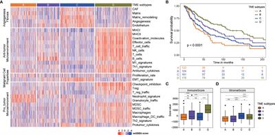 Exploring Tumor Immune Microenvironment and Its Associations With Molecular Characteristics in Melanoma